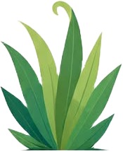 a green plant with leaves on it 2.jpg